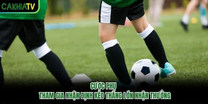 Cược Phụ - Tham Gia Nhận Định Kèo Thắng Lớn Nhận Thưởng