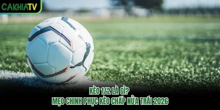 Kèo 1/2 là gì? Mẹo Chinh Phục Kèo Chấp Nửa Trái 2026