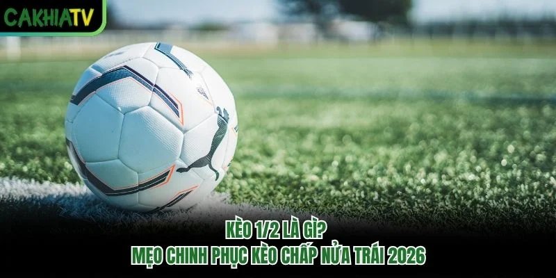 Kèo 1/2 là gì? Mẹo Chinh Phục Kèo Chấp Nửa Trái 2026