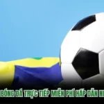 Theo Dõi Bóng Đá Trực Tiếp Miễn Phí Hấp Dẫn Nhất 2026